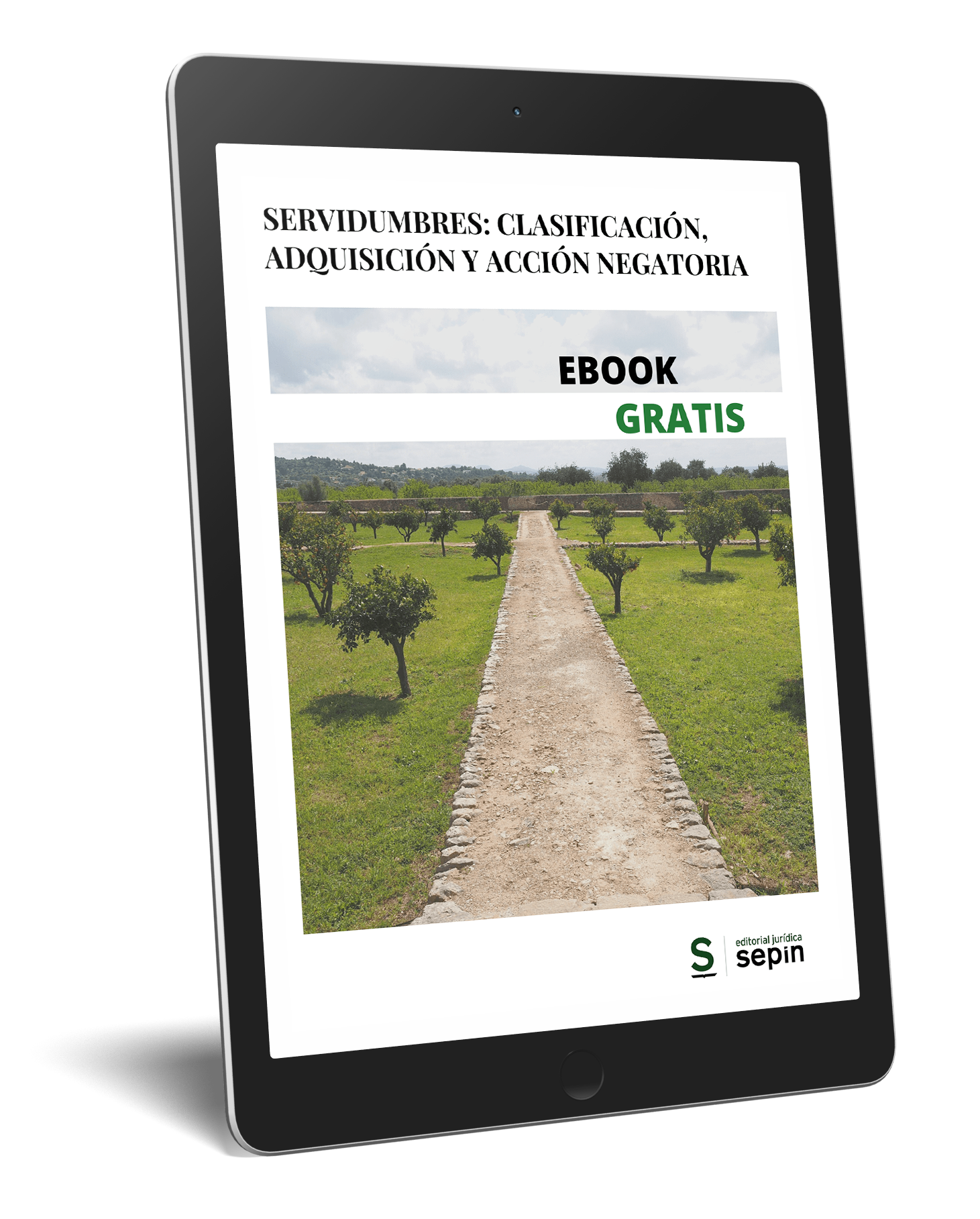 Ebook Servidumbres clasificación, adquisición y acción negatoria